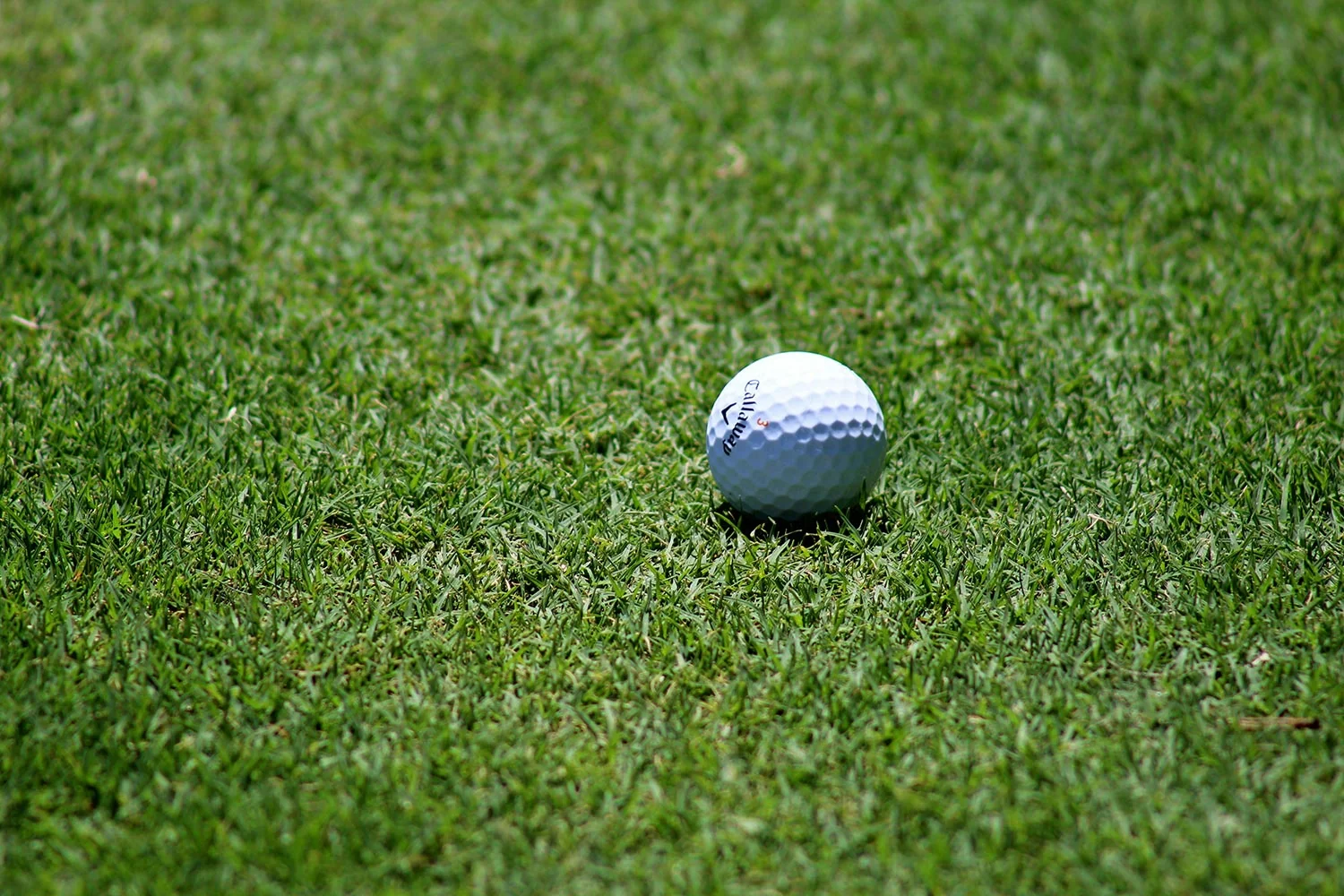 Golf de Sperone